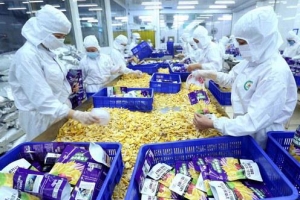Năm 2030, Việt Nam phấn đấu thành trung tâm chế biến nông sản top 10 thế giới