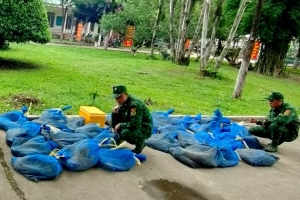An Giang: Bắt giữ thuyền máy vận chuyển hàng chục cá thể động vật hoang dã qua biên giới