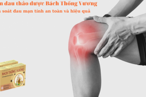 Giảm đau thảo dược Bách Thống Vương - Kiểm soát đau mạn tính an toàn, hiệu quả