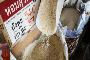 Dư thừa gạo làm dấy lên cuộc chiến giá cả ở các nước Châu Á
