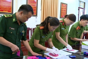 Thanh Hoá bắt giữ hàng chục vụ buôn bán, vận chuyển ma túy trái phép qua biên giới Việt - Lào