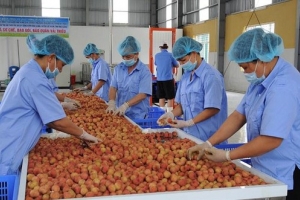 Sáu nhiệm vụ nhằm nâng cao hiệu quả công tác xúc tiến thương mại