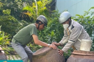 TP. Hồ Chí Minh: 11/22 quận, huyện, TP. Thủ Đức có số ca bệnh sốt xuất huyết tăng