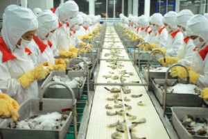 Miễn kiểm dịch thuỷ sản nhập khẩu làm nguyên liệu gia công xuất khẩu