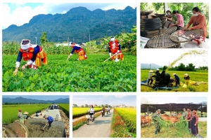Đẩy nhanh tiến độ giải ngân vốn các chương trình mục tiêu quốc gia