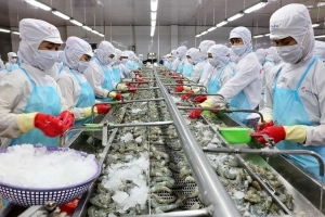 Nhiều mặt hàng nhập khẩu vào Úc chậm được kiểm dịch