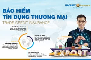 Bảo hiểm Bảo Việt và VCCI bàn giải pháp bảo vệ tài chính hữu hiệu cho doanh nghiệp