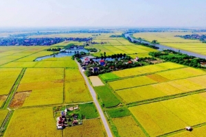 Hạn mức nhận chuyển nhượng quyền sử dụng đất nông nghiệp được mở rộng