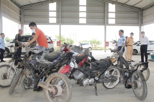 Thanh Hoá tiêu hủy mặt hàng vi phạm hành chính