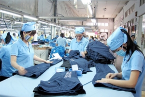Chủ tịch UBND tỉnh Thanh Hóa tặng Bằng khen cho 60 doanh nhân