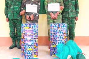 Bộ đội Biên phòng tỉnh Kon Tum bắt 02 đối tượng vận chuyển pháo, động vật hoang dã
