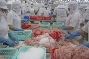 Xuất khẩu cá tra sang thị trường Mexico tăng mạnh