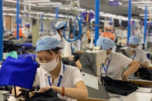 Lý giải việc giải ngân hỗ trợ tiền thuê nhà cho người lao động chỉ đạt 0,95% của tỉnh Nghệ An