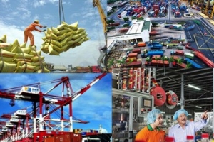 Việt Nam là một thị trường tiềm năng về nguyên liệu và bán nguyên liệu