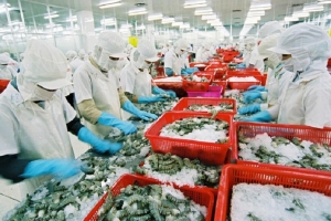 Xuất khẩu tôm đông lạnh sang thị trường Bỉ tăng 74,7% về lượng