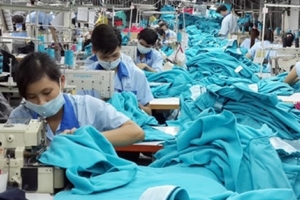 EU là thị trường khó tính, doanh nghiệp Việt biết tận dụng ưu thế, xuất khẩu hàng hóa sẽ tăng