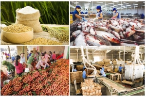 Xuất khẩu nông lâm thủy sản đạt gần 36,3 tỷ USD trong 8 tháng năm 2022