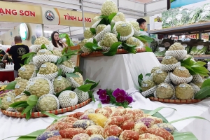Na Chi Lăng, nông sản mũi nhọn của tỉnh Lạng Sơn đã xây dựng thương hiệu như thế nào?