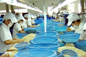 Việt Nam phấn đấu đến năm 2030 GDP bình quân đầu người đạt 7.500 USD