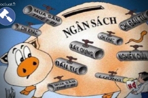 Cân đối ngân sách Nhà nước trong 08 tháng thặng dư 251,7 nghìn tỷ đồng