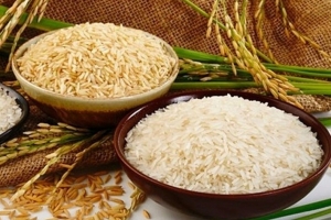 Sớm thỏa thuận hợp tác Thái Lan và Việt Nam về tăng giá gạo xuất khẩu