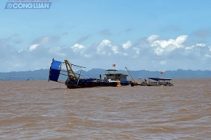 UBND TP. Hải Phòng thông tin về thực trạng hoạt động nuôi ngao của các hộ dân