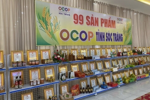 Nhiều giải pháp tiêu thụ sản phẩm OCOP cho hợp tác xã