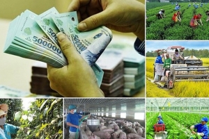 Hoàn thành việc phân bổ vốn cho 03 Chương trình mục tiêu quốc gia chậm nhất ngày 30/09