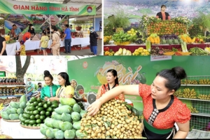 Sản phẩm OCOP hoa quả sấy có giá trị dinh dưỡng cao