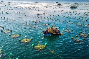 Chính phủ báo cáo giảm tiền thuê đất, thuê mặt nước năm 2022 khoảng 3.433 tỷ đồng