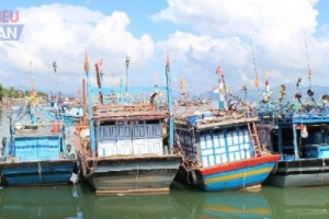 Bình Định nỗ lực triển khai nhiều giải pháp ứng phó bão Noru