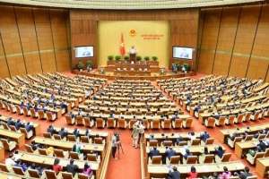 Kỳ họp thứ 4, Quốc hội khoá XV, dự kiến xem xét, thông qua 07 Luật