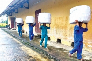 Ngành Dự trữ Nhà nước triển khai nhanh các biện pháp ứng phó với bão Noru