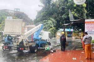 Gia Lai: Rà soát, khắc phục thiệt hại do ảnh hưởng của cơn bão số 4