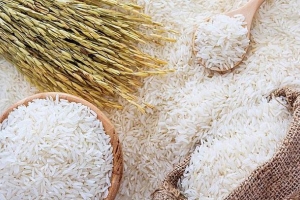Nguồn cung ít, đẩy giá gạo tăng và neo ở mức cao