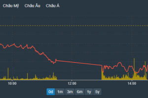 Chứng khoán ngày 11/10: 221 mã giảm kịch biên độ cuối ngày trên cả 3 sàn