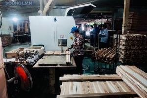 Bình Định hỗ trợ doanh nghiệp ứng dụng thiết bị tiên tiến trong chế biến gỗ