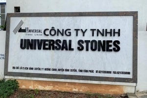 Dừng làm thủ tục hải quan với Công ty Universal Stones do nợ thuế hơn 4,8 tỷ đồng