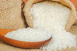 Xuất khẩu gạo có nhiều tín hiệu tích cực trong những tháng cuối năm