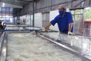 Xây dựng thương hiệu OCOP cho các sản phẩm tại Bến Tre