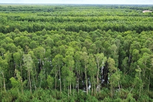 Cà Mau sẵn sàng công tác phòng cháy, chữa cháy rừng mùa khô năm 2022 - 2023