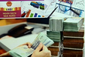 Nguyên nhân 14 bộ và cơ quan Trung ương không công khai tài liệu ngân sách