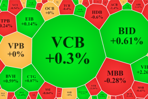 Giao dịch chứng khoán chiều 19/10: VN-Index thoát phiên giảm sâu nhờ nhóm cổ phiếu "đại gia"