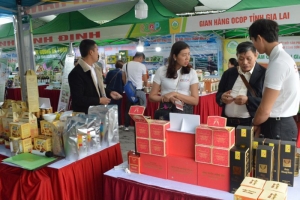 Giới thiệu sản phẩm OCOP gắn với văn hóa miền Trung - Tây Nguyên