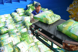 Chỉ tên các yếu tố gây áp lực lên mặt bằng giá