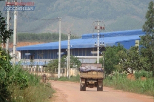 Một doanh nghiệp cấp huyện ở Bình Định đầu tư hơn 20 tỷ đồng xây dựng Nhà máy sản xuất nệm