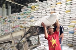 10 tháng, gạo xuất khẩu đạt gần 3 tỷ USD; Giá gạo xuất khẩu tăng