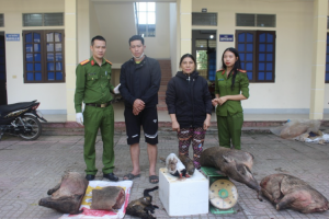 Công an huyện Con Cuông bắt 02 đối tượng, thu giữ nhiều động vật hoang dã
