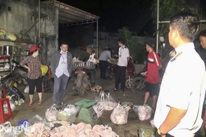 Bắt quả tang đối tượng sơ chế động vật không phép