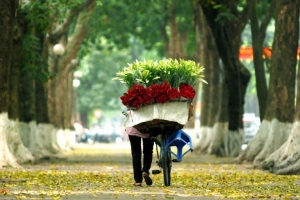 Dự báo thời tiết hôm nay, ngày 09/11: Miền Bắcnắng hanh; Miền Trung và Nam trời nắng